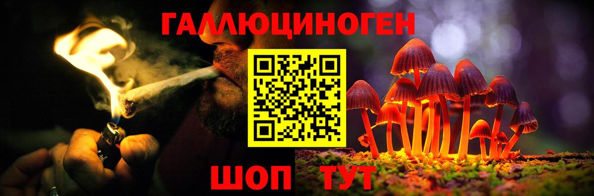 Псилоцибиновые грибы ЛСД Комсомольск-на-Амуре